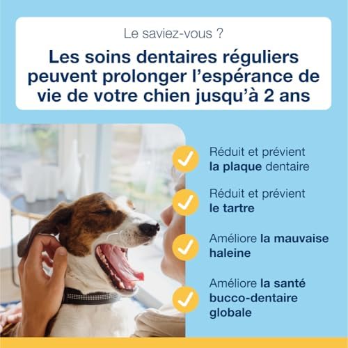 Vue 3 de Proden Plaqueoff Poudre Pour