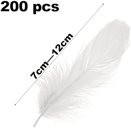 Vue 2 de Pieces Plumeplumes Doie De