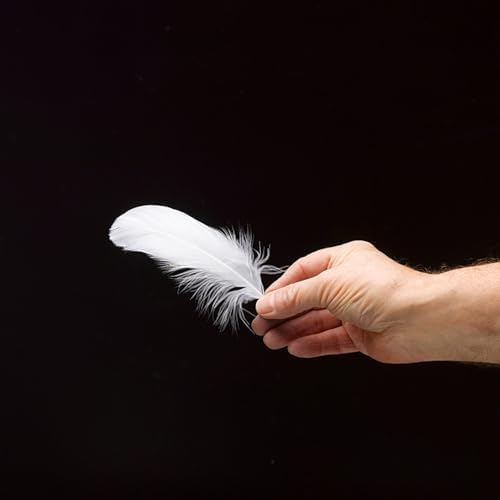 Vue 3 de Pieces Plumeplumes Doie De