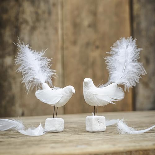Vue 5 de Pieces Plumeplumes Doie De