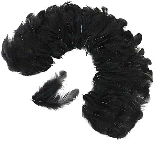 Vue 2 de Soarer Lot De Plumes