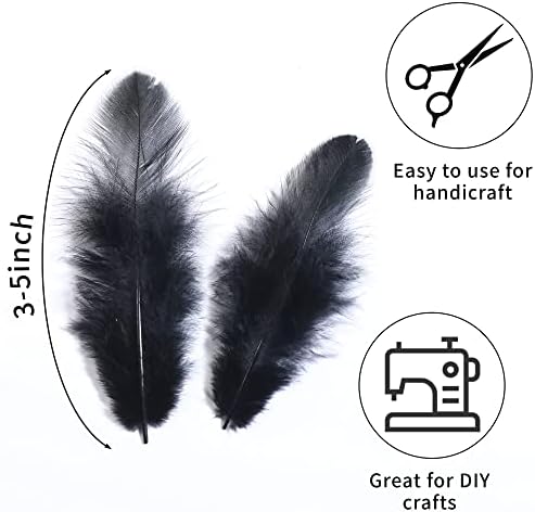 Vue 3 de Soarer Lot De Plumes