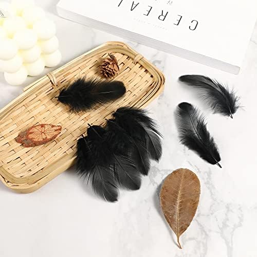Vue 7 de Soarer Lot De Plumes