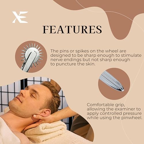 Vue 3 de Xe Wartenberg Neuro Pinwheel