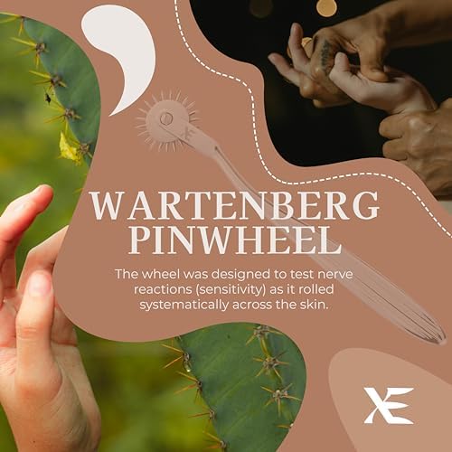 Vue 5 de Xe Wartenberg Neuro Pinwheel
