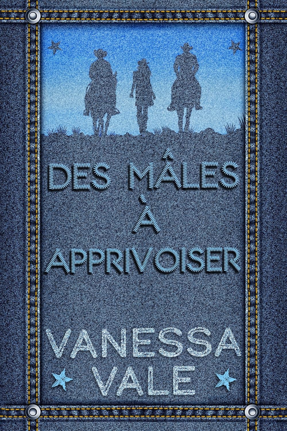 Vue 3 de Les Copains Dabord Roman