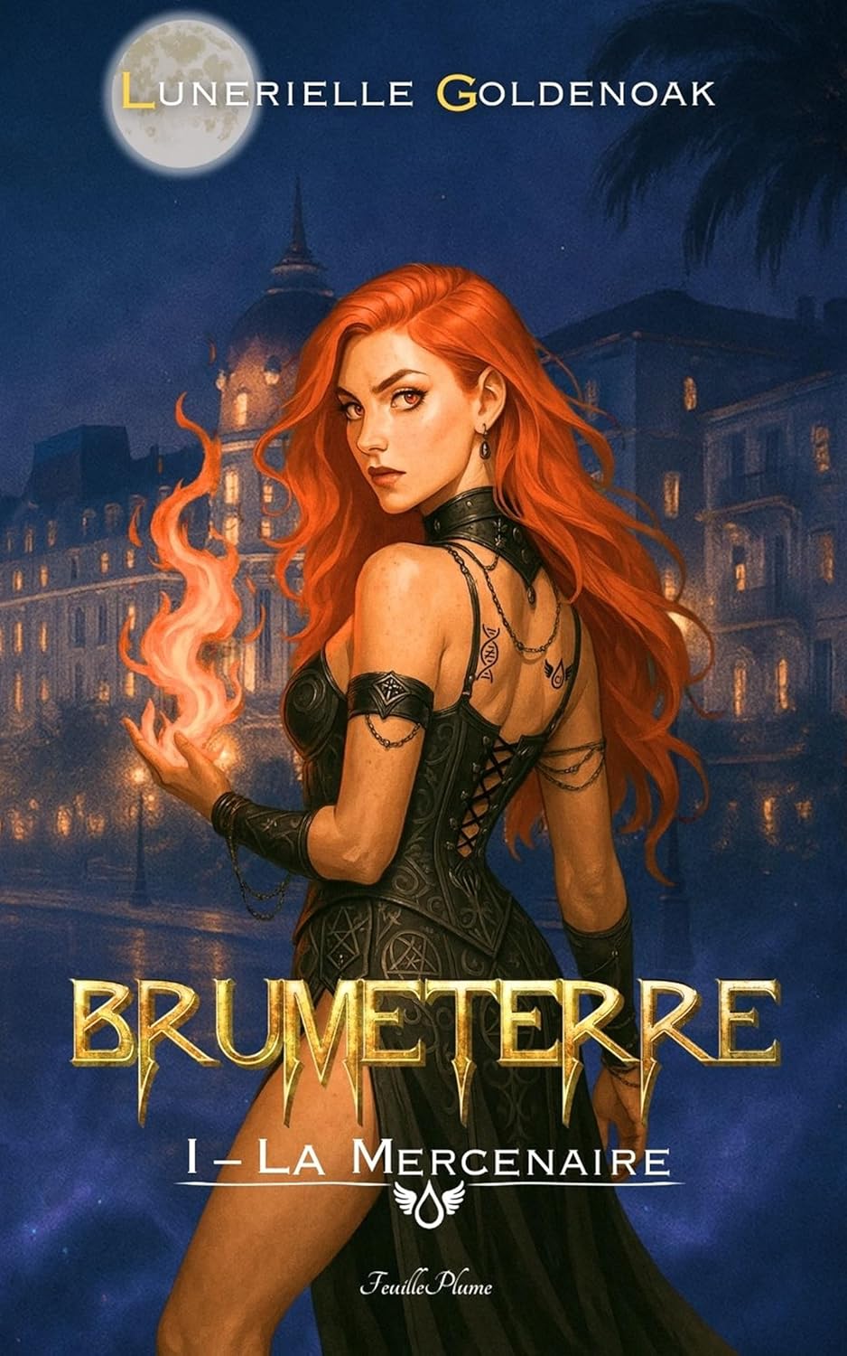 Vue 3 de Un Prince Sans Coeur