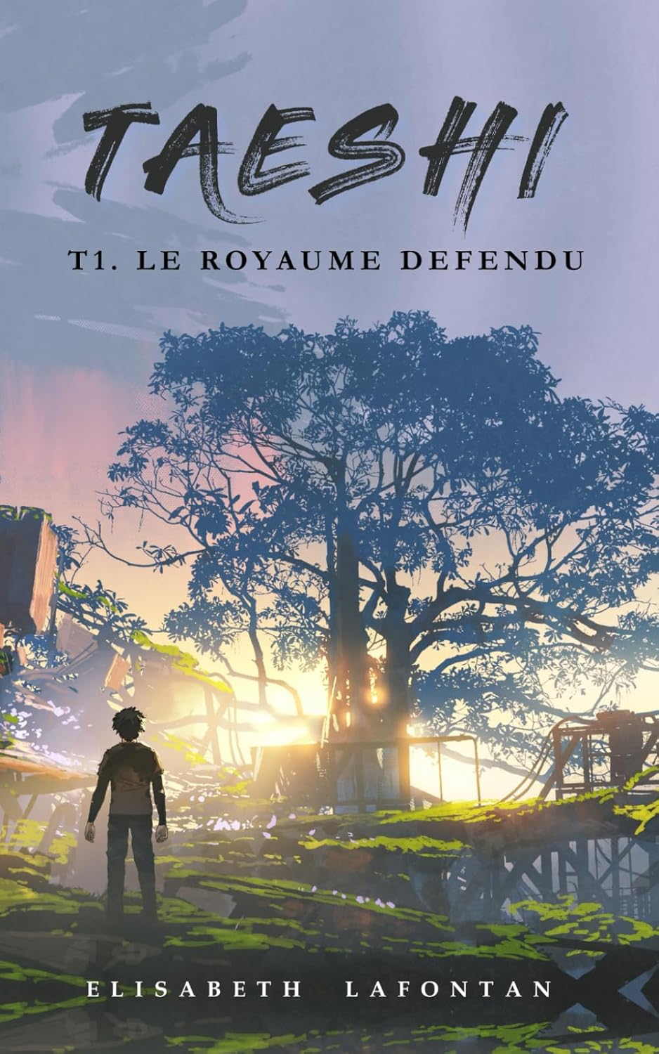 Vue 2 de Lakestone Tome Apres Captive