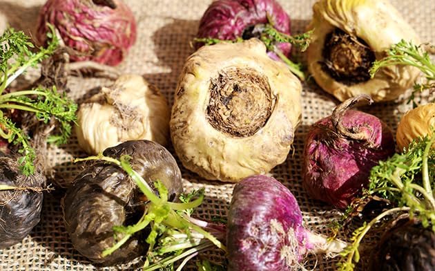 Vue 4 de Nutri Co Maca Noire
