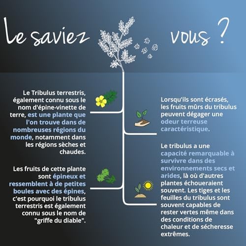Vue 5 de Tribulus Terrestris Mg Dosage
