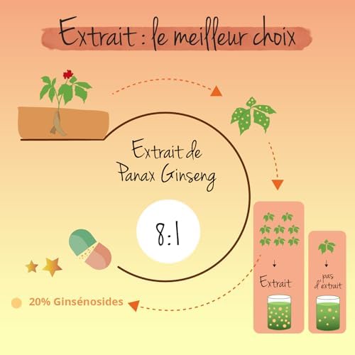 Vue 5 de Panax Ginseng Rouge Coreen