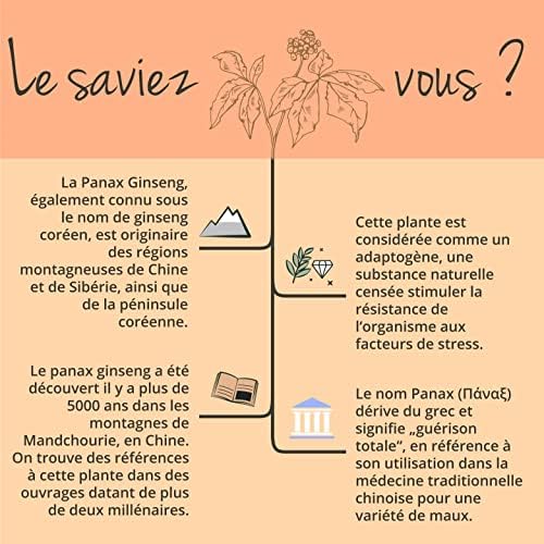 Vue 6 de Panax Ginseng Rouge Coreen