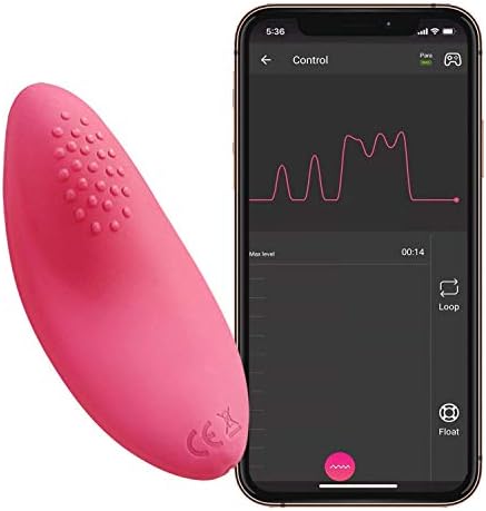 Vue 3 de App Control Panty Vibrator