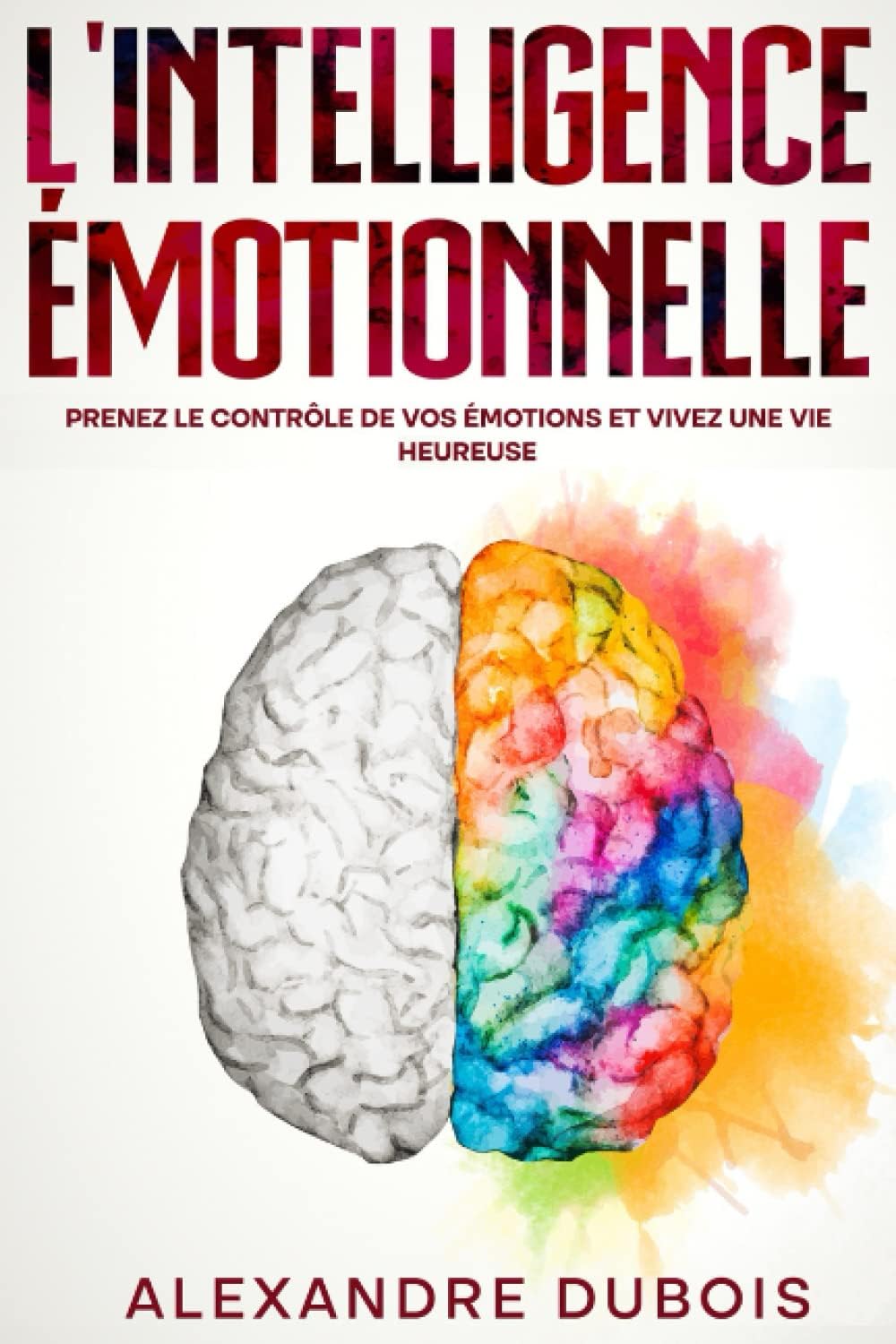Vue 4 de Lintelligence Emotionnelle Ii