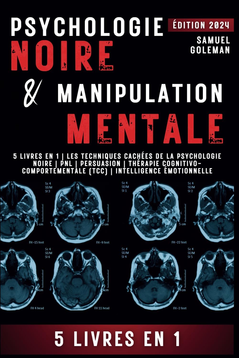 Vue 3 de Intelligence Emotionnelle Livres En