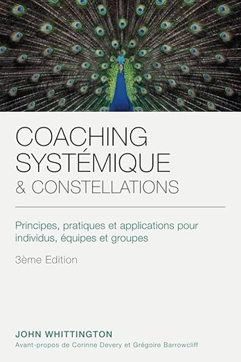 Coaching Systemique Et Constellations