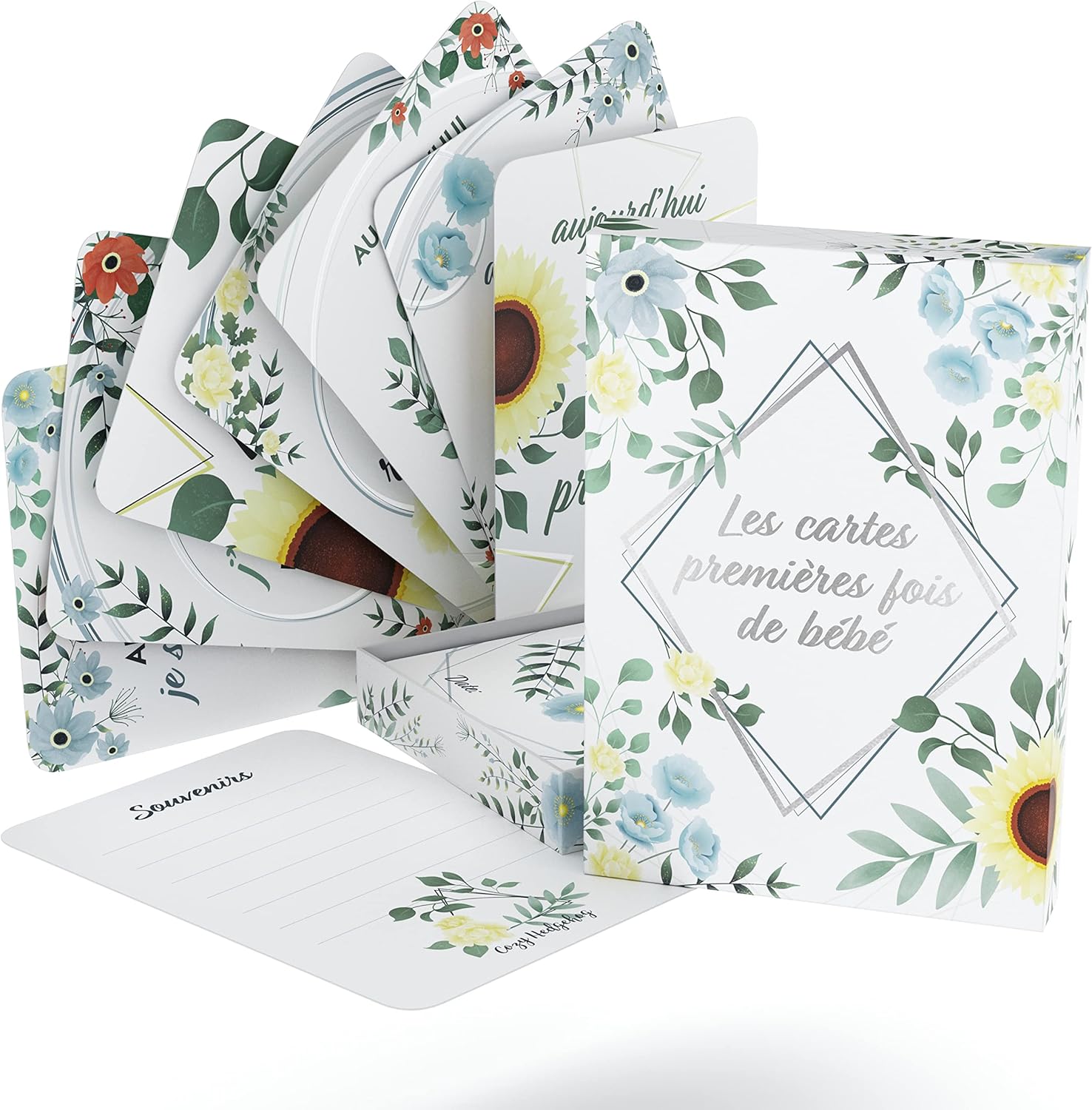 Le Cadeau De Naissance