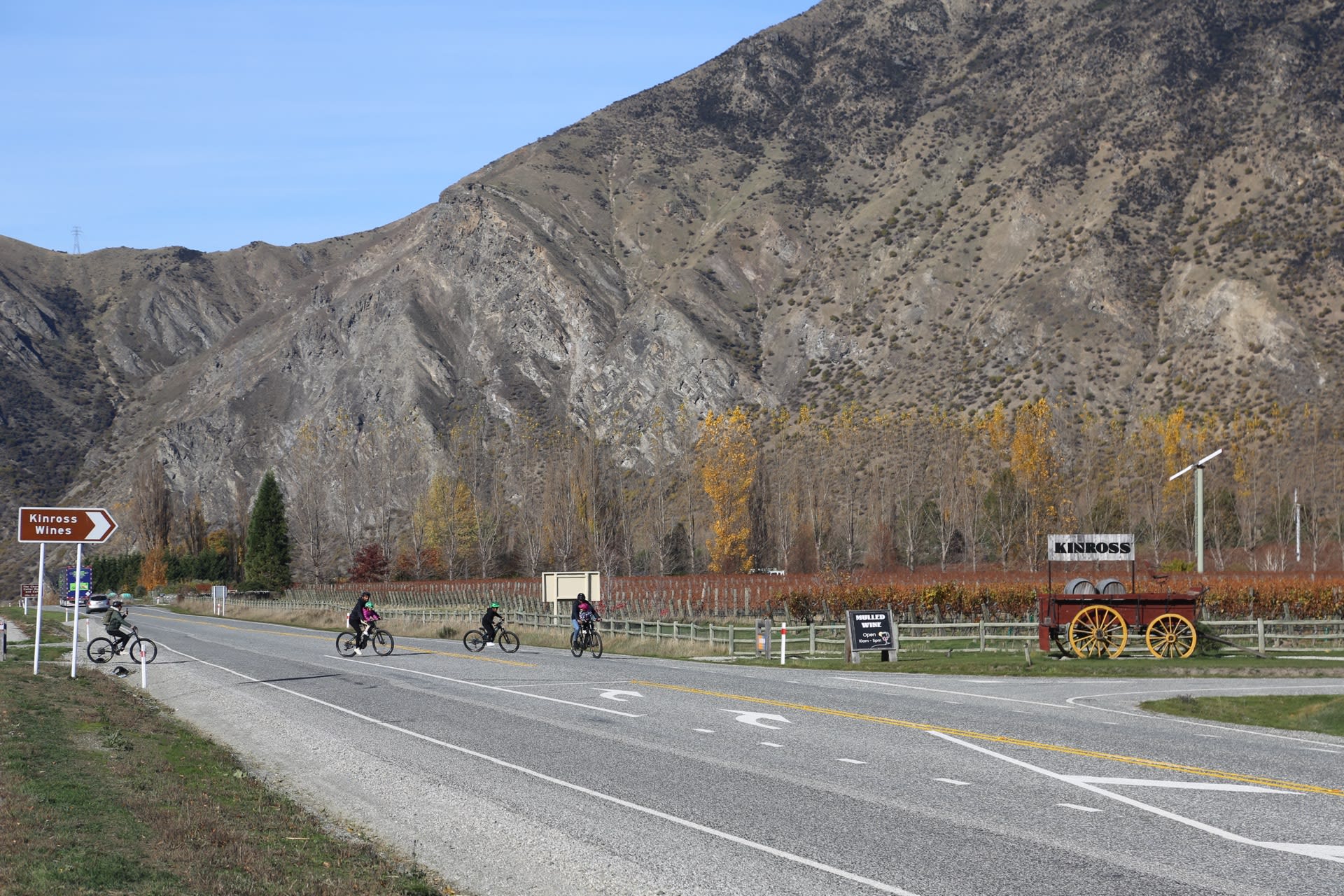 Queenstown lake view