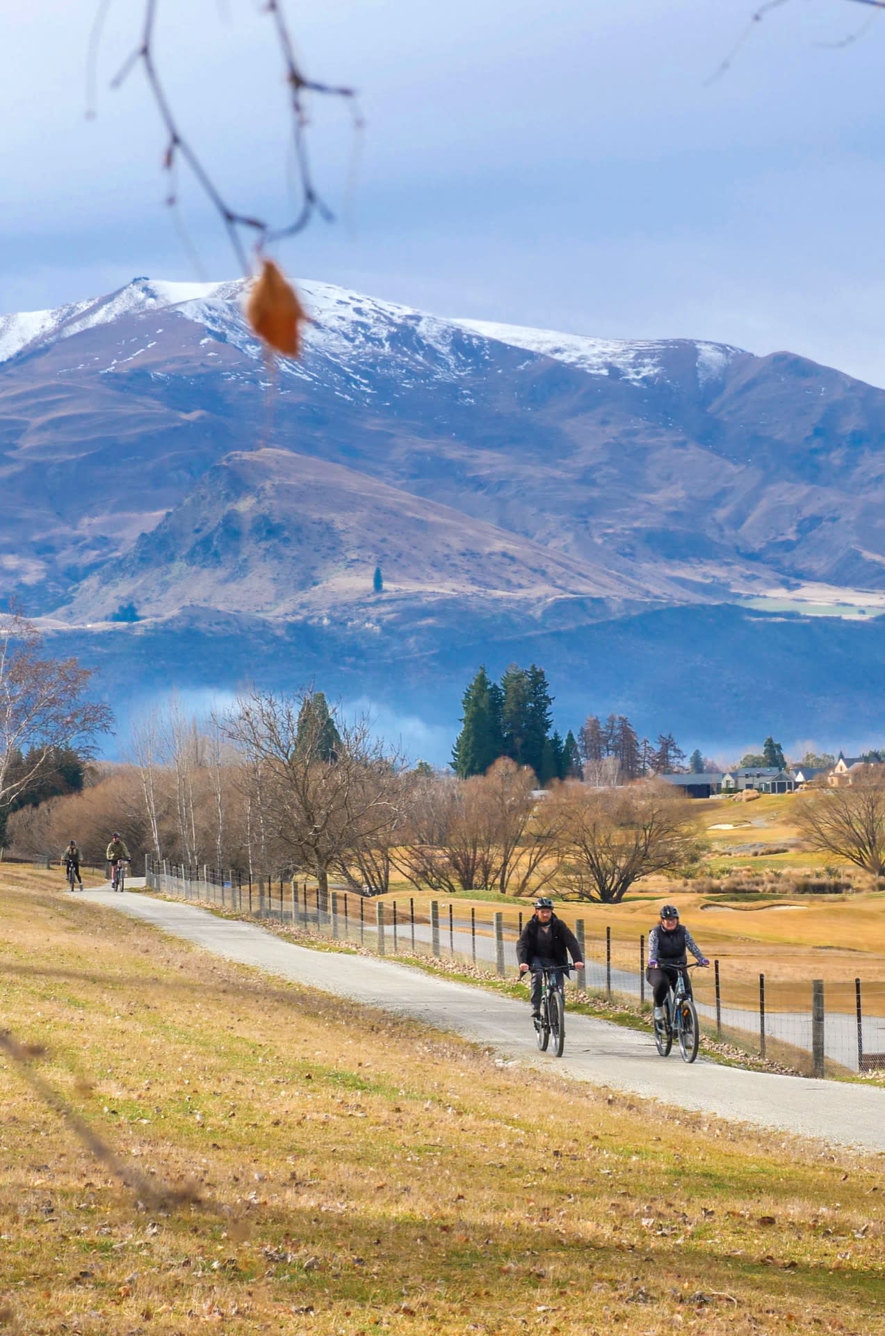 Gibbston Wineries Ride