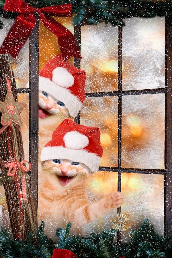 the spring walk where you laughed at me