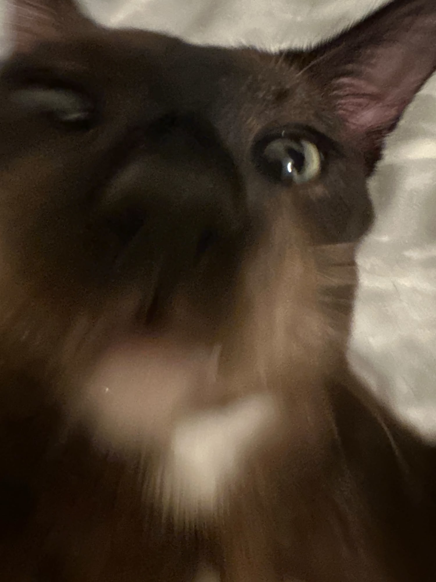 us