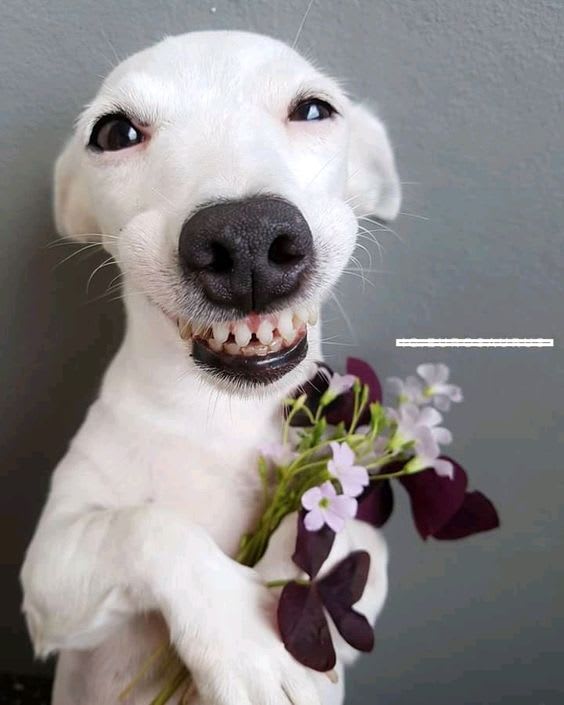 hello