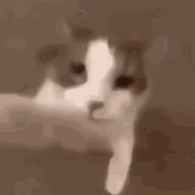 us