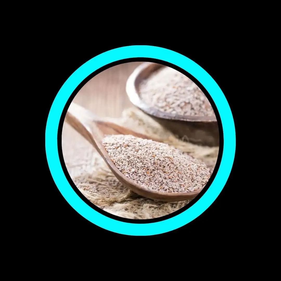 Psyllium – controla o apetite e melhora o intestino