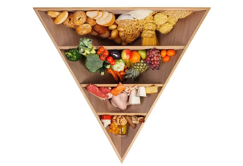 Why Dietary Guidelines Are Killing You: A Comprehensive Timeline featured image
