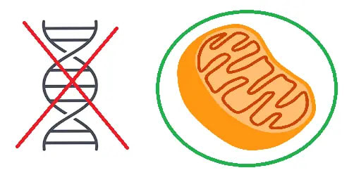 What is the Metabolic Theory of Cancer? featured image