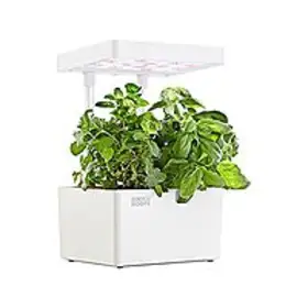 Unlock Indoor Gardening Bliss Get the 3Pod Back to the Roots Hydroponic Grow Kit for Just $12