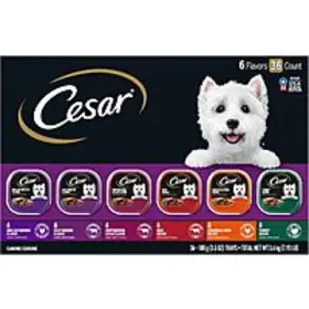 Unleash Savings Grab the 36Pack CESAR Adult Wet Dog Food Variety for Just $21 on Amazon