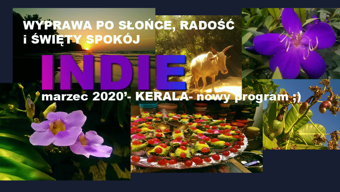 Kolaż zdjęć z wyprawy z jogą do Indii, przedstawiający krajobraz, kwiaty, jedzenie oraz lokalne zwierzęta.