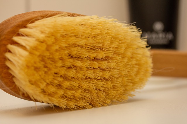 Benefits of Body Brushing