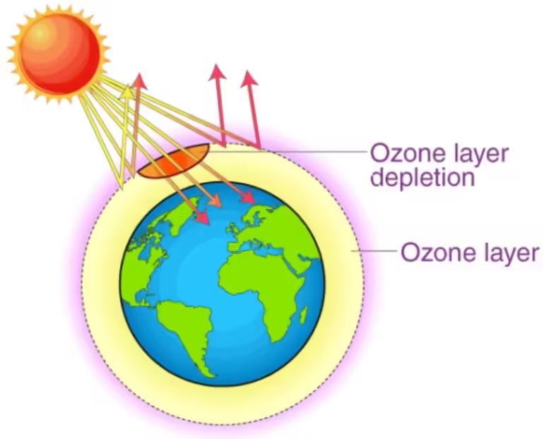 ozone layer depletion