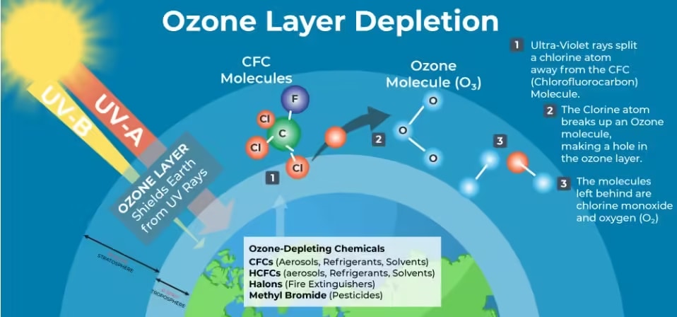 ozone layer depletion