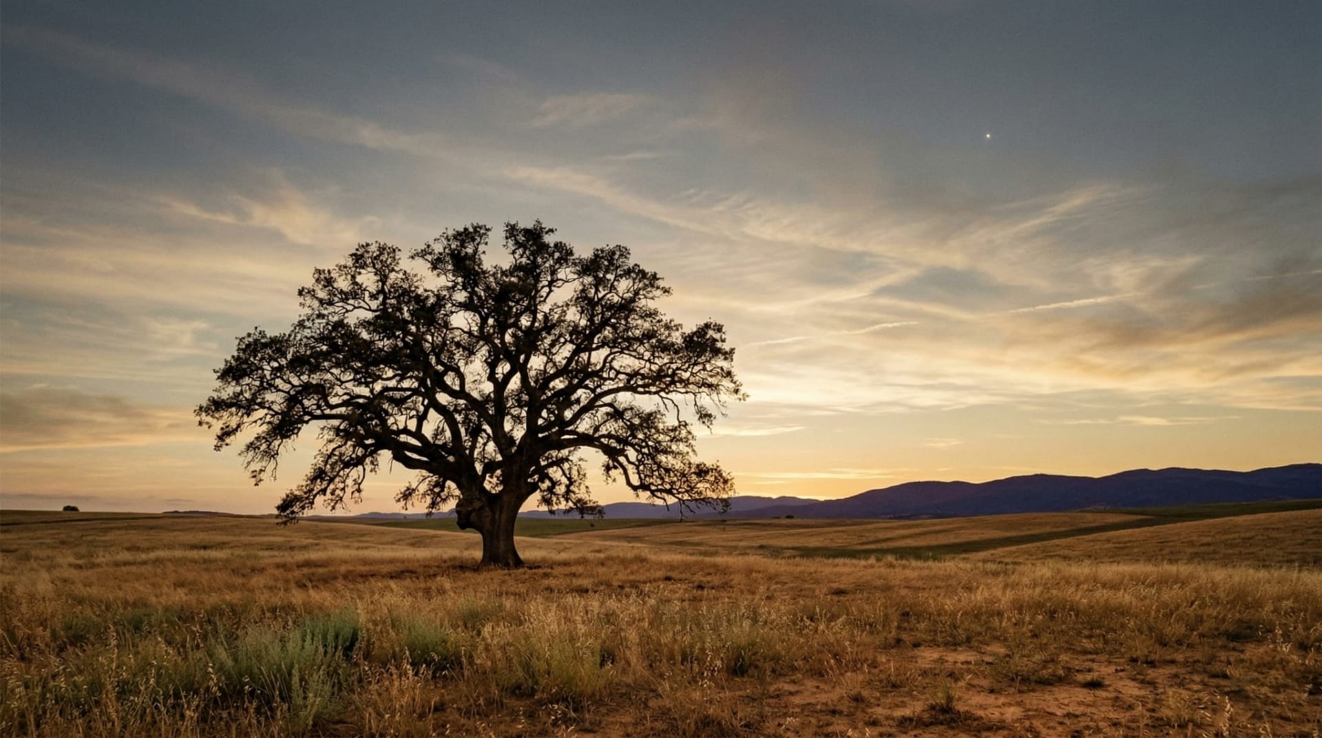 Nature background