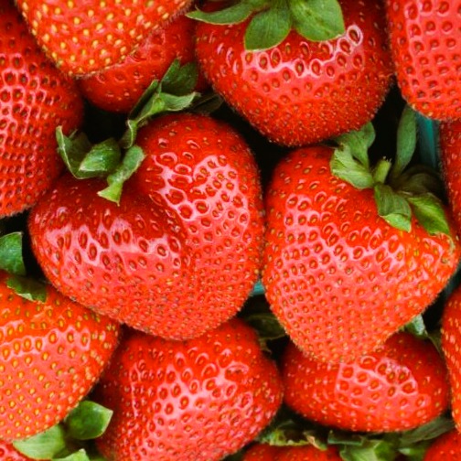 Premium Fresh Strawberry