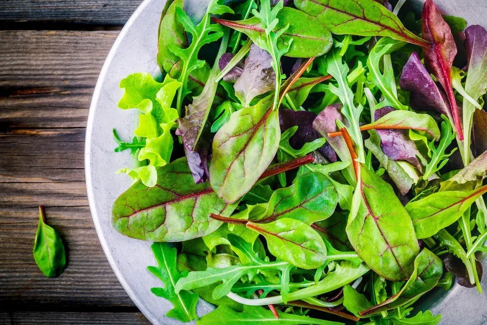 Sorrel-licious Salad Mix