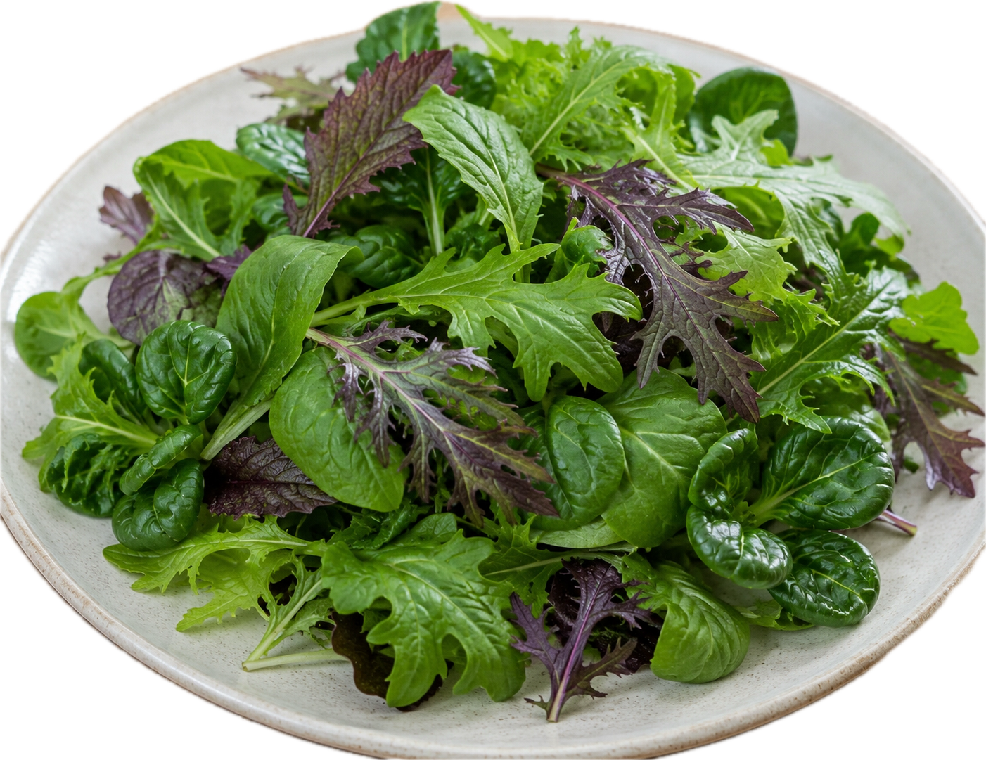 Velvet-licious Salad Mix