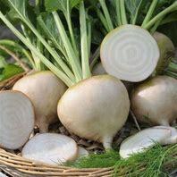 Winter Beets