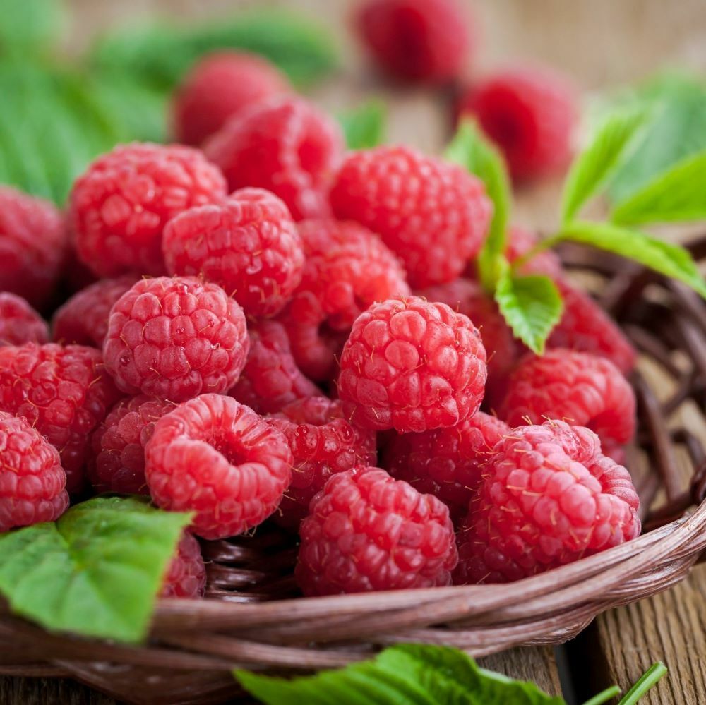 Fresh Raspberries