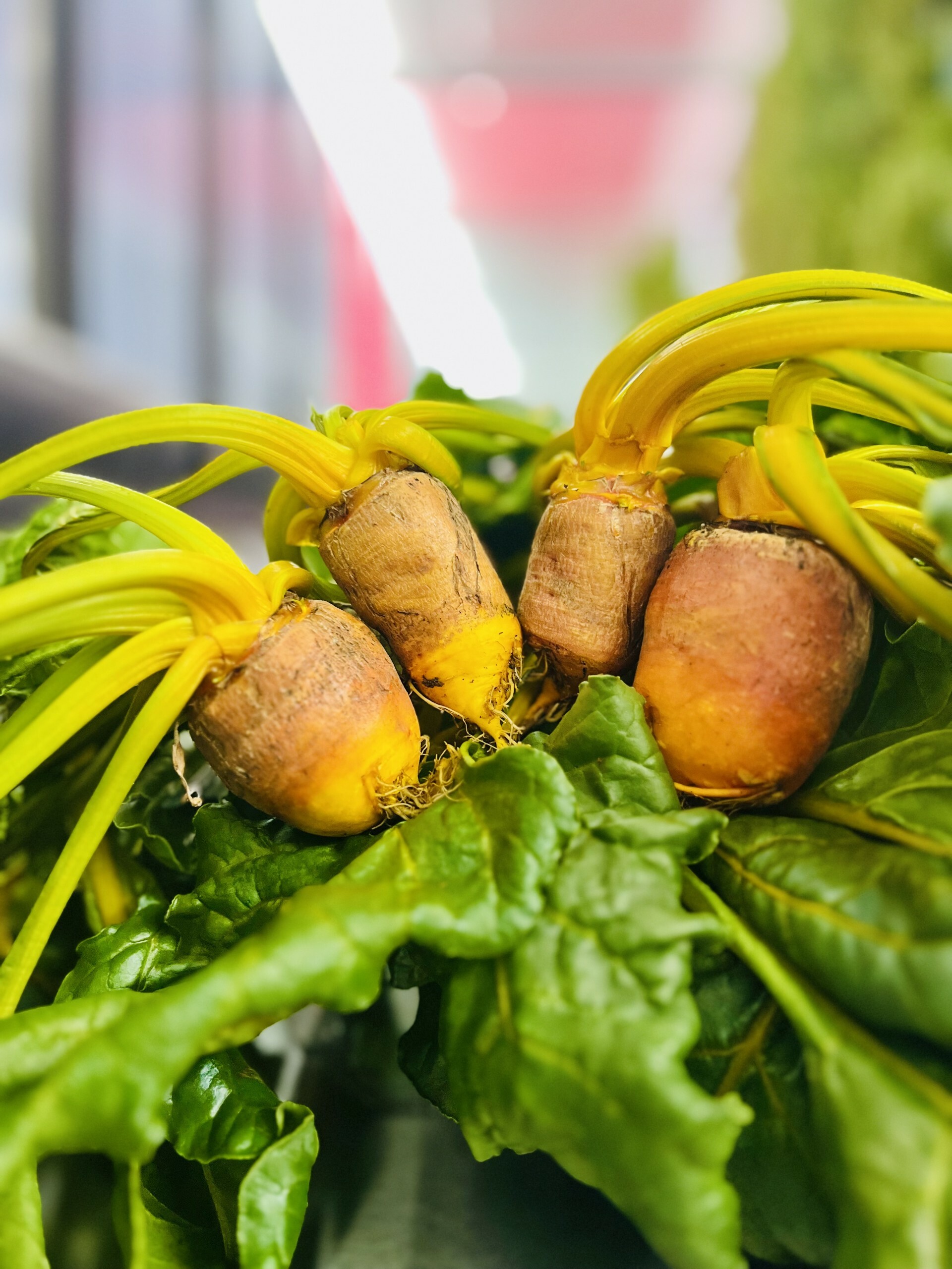 Yellow Beets