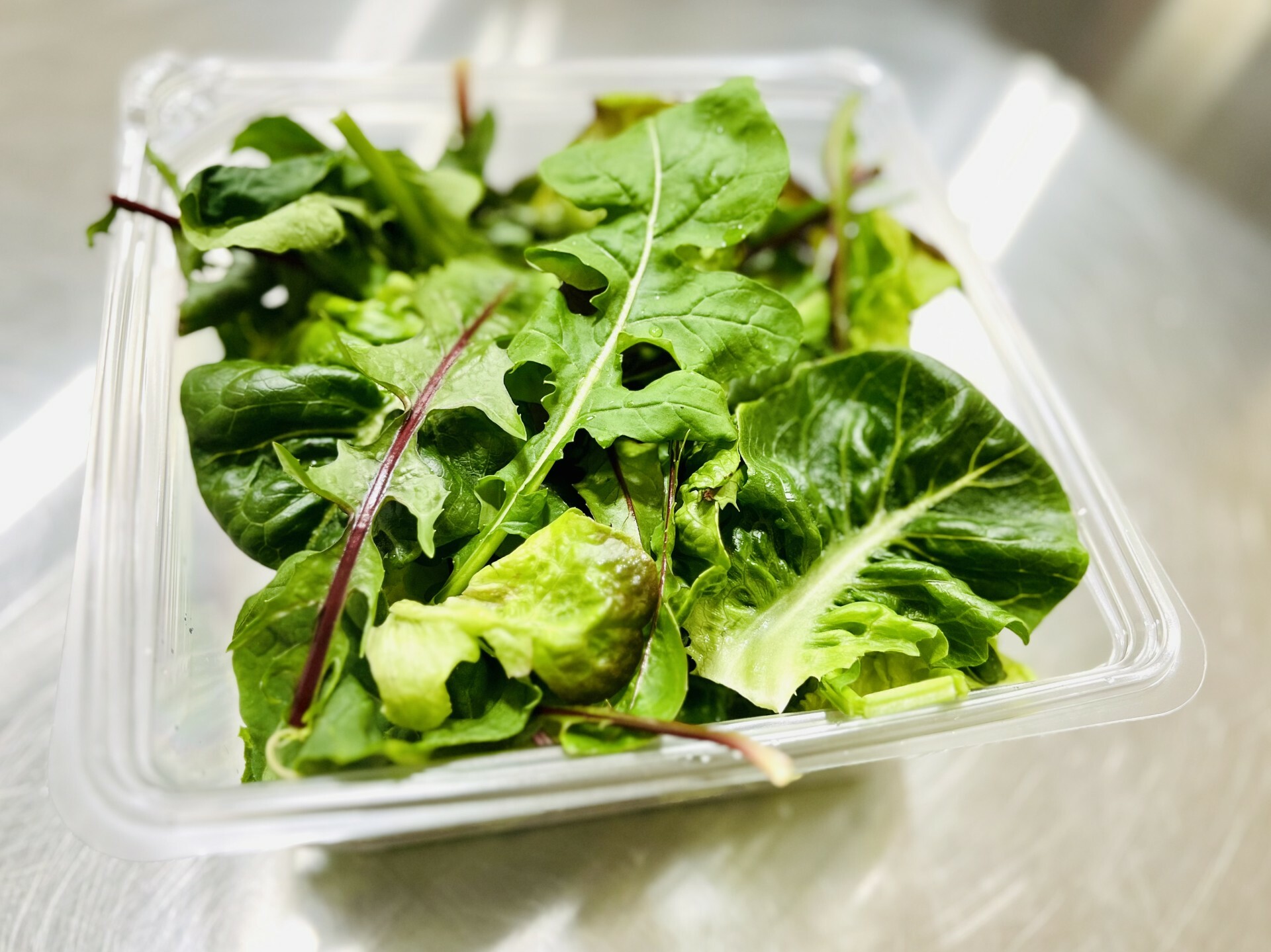 Dande-licious Salad Mix