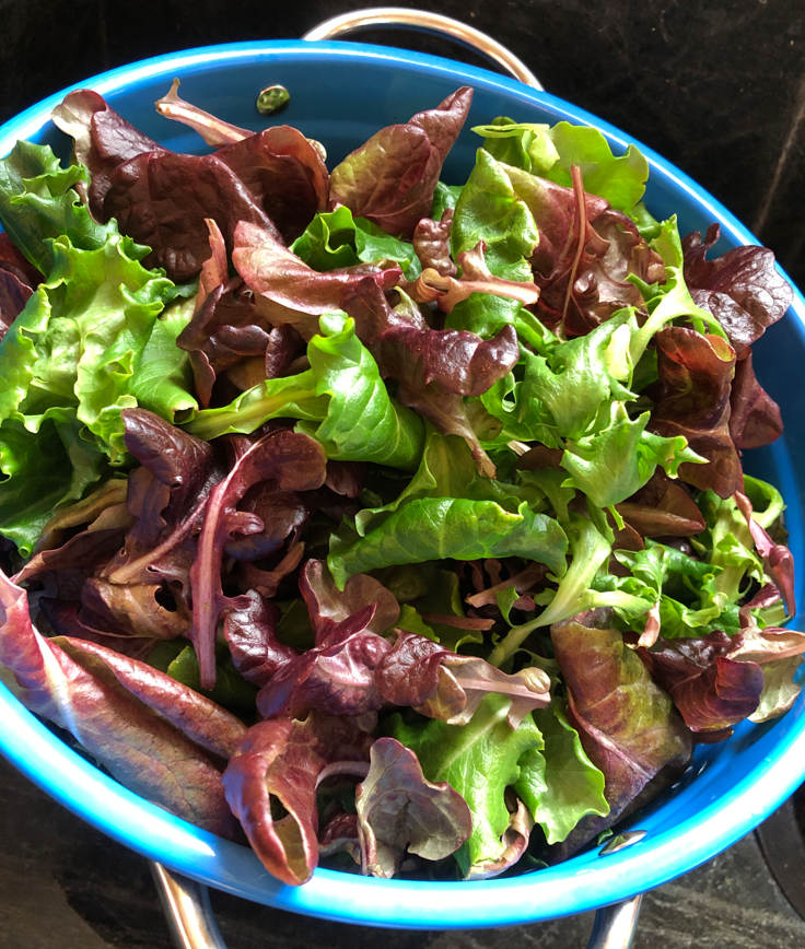 Rouxai-licious Salad Mix