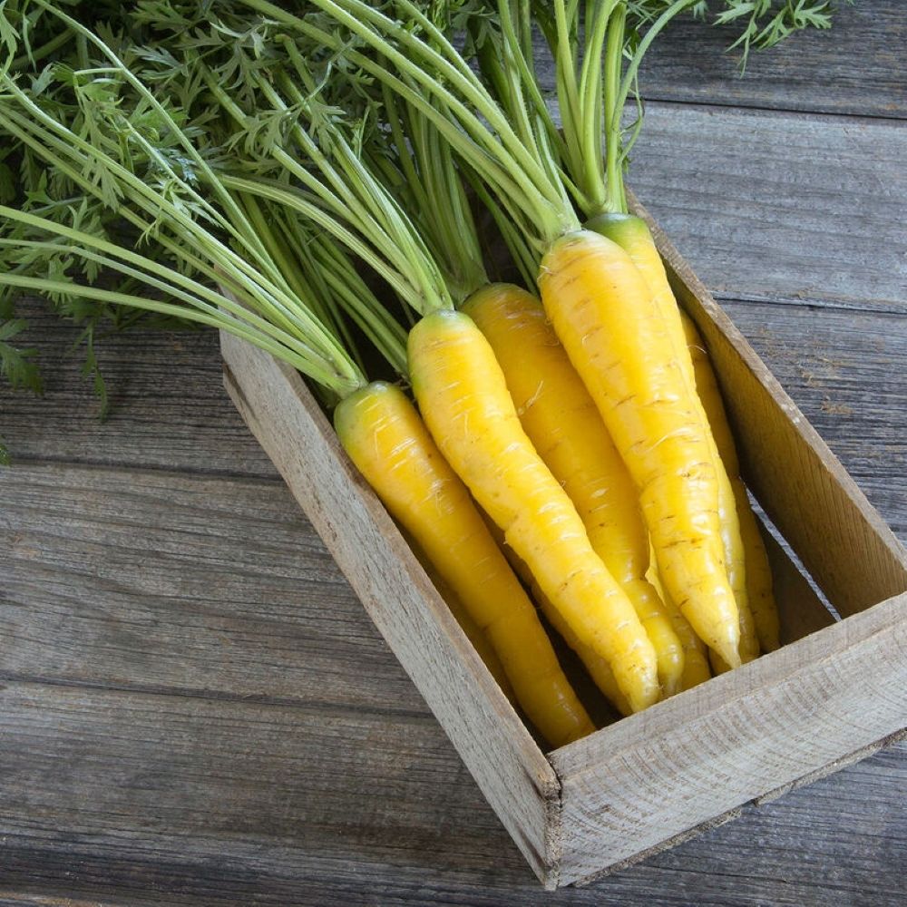 Gold Nugget Carrots