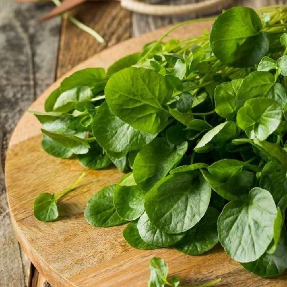 Watercress