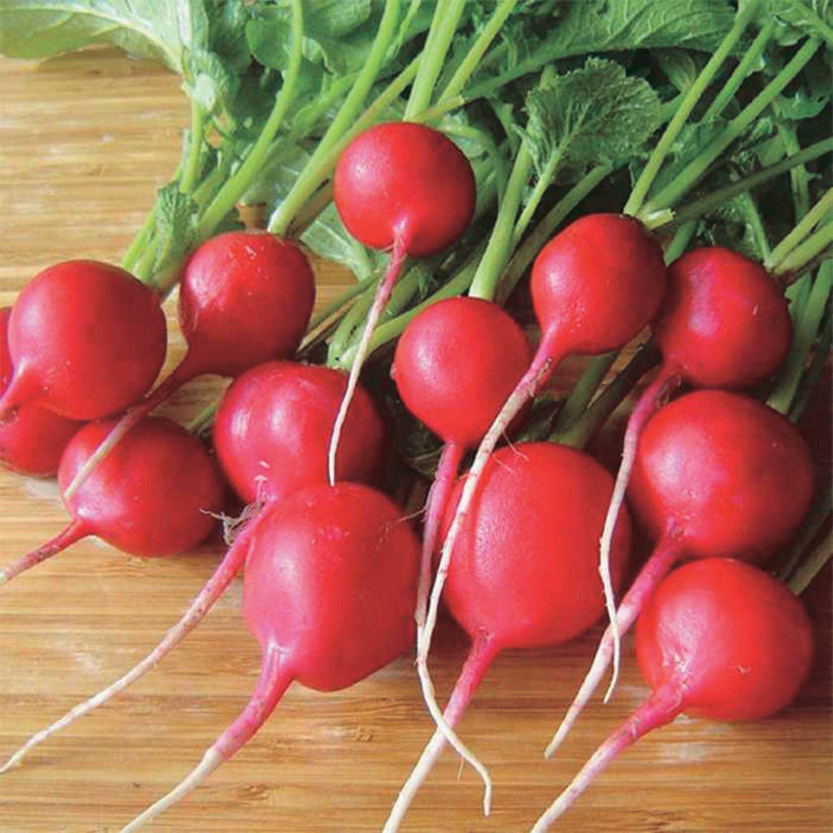 Rover Radishes