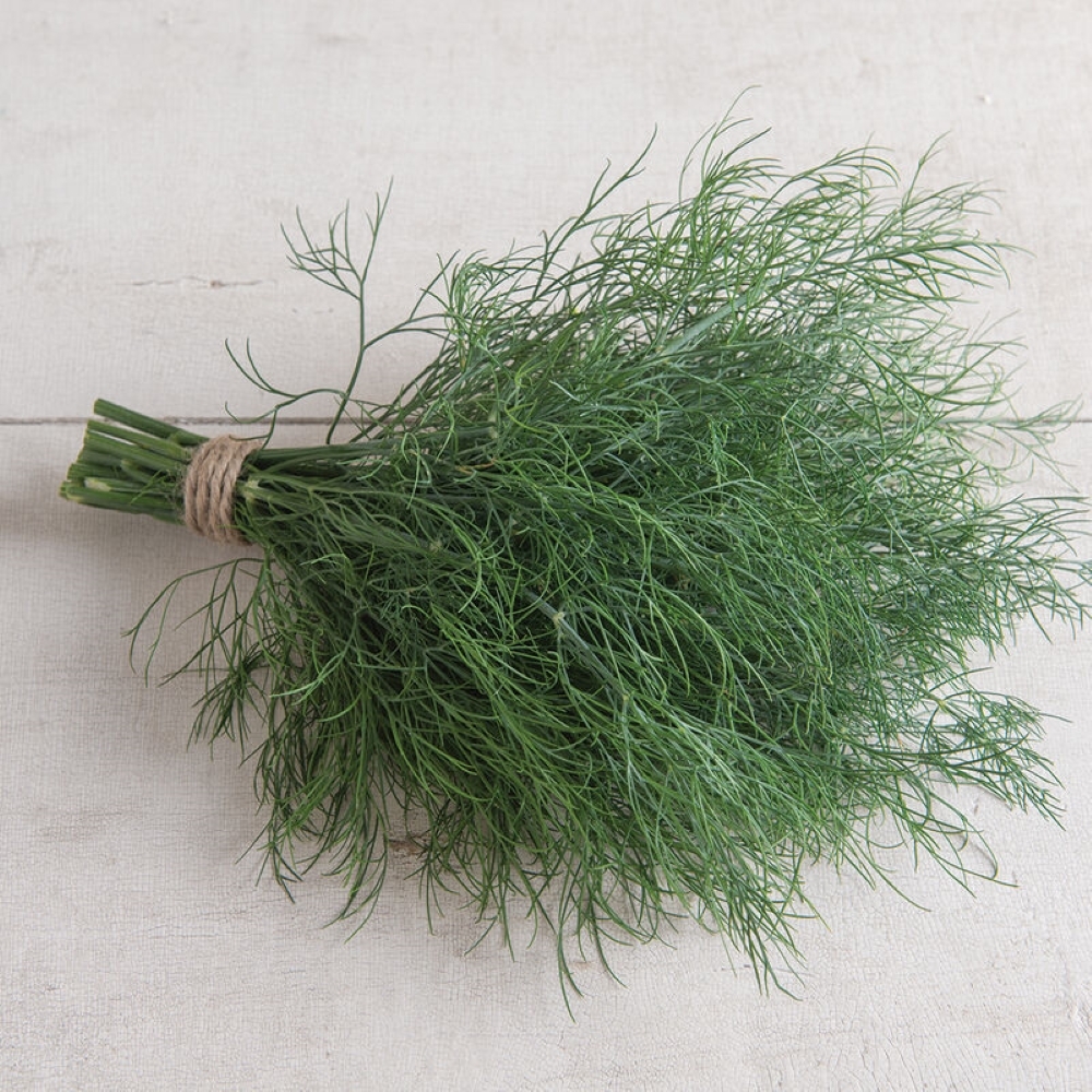 Divine Dill
