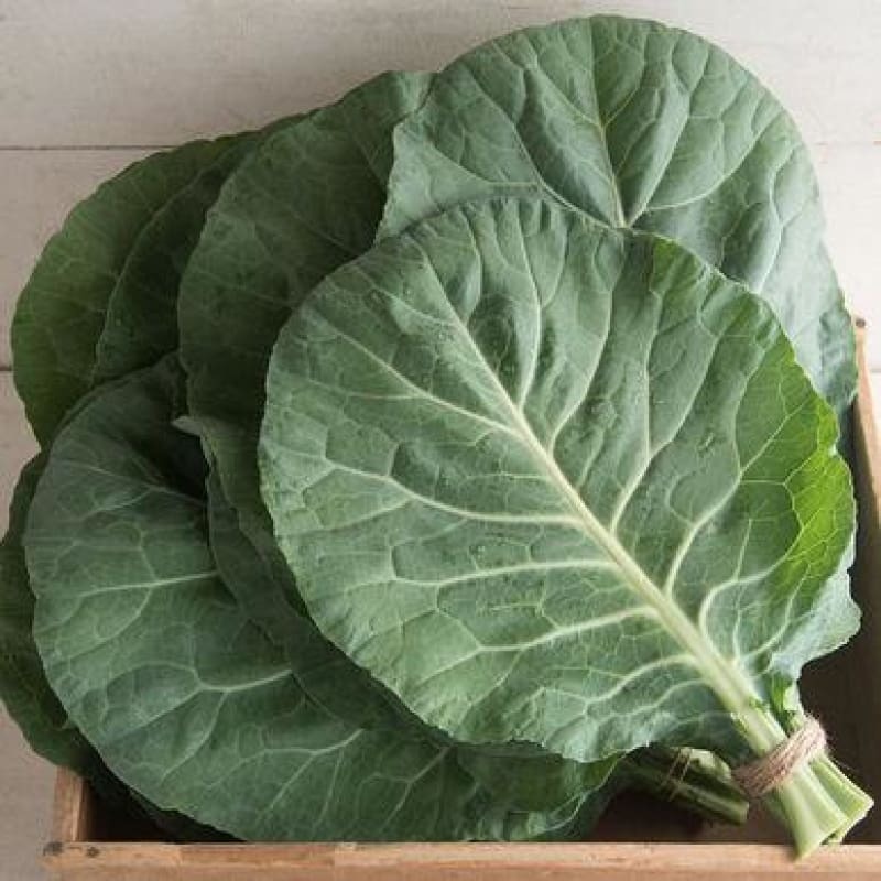 Flash Collards